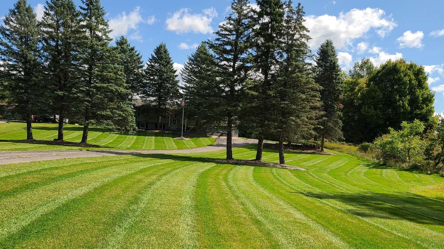 Curving mowing stripes across a green lawn with mature trees
